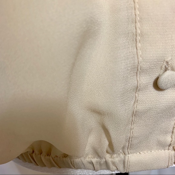 Daniel Rainn Sheer Cream Blouse - Picture 5 of 8